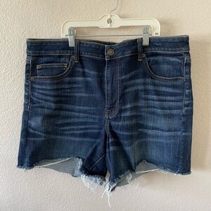 American Eagle hi-rise shorties